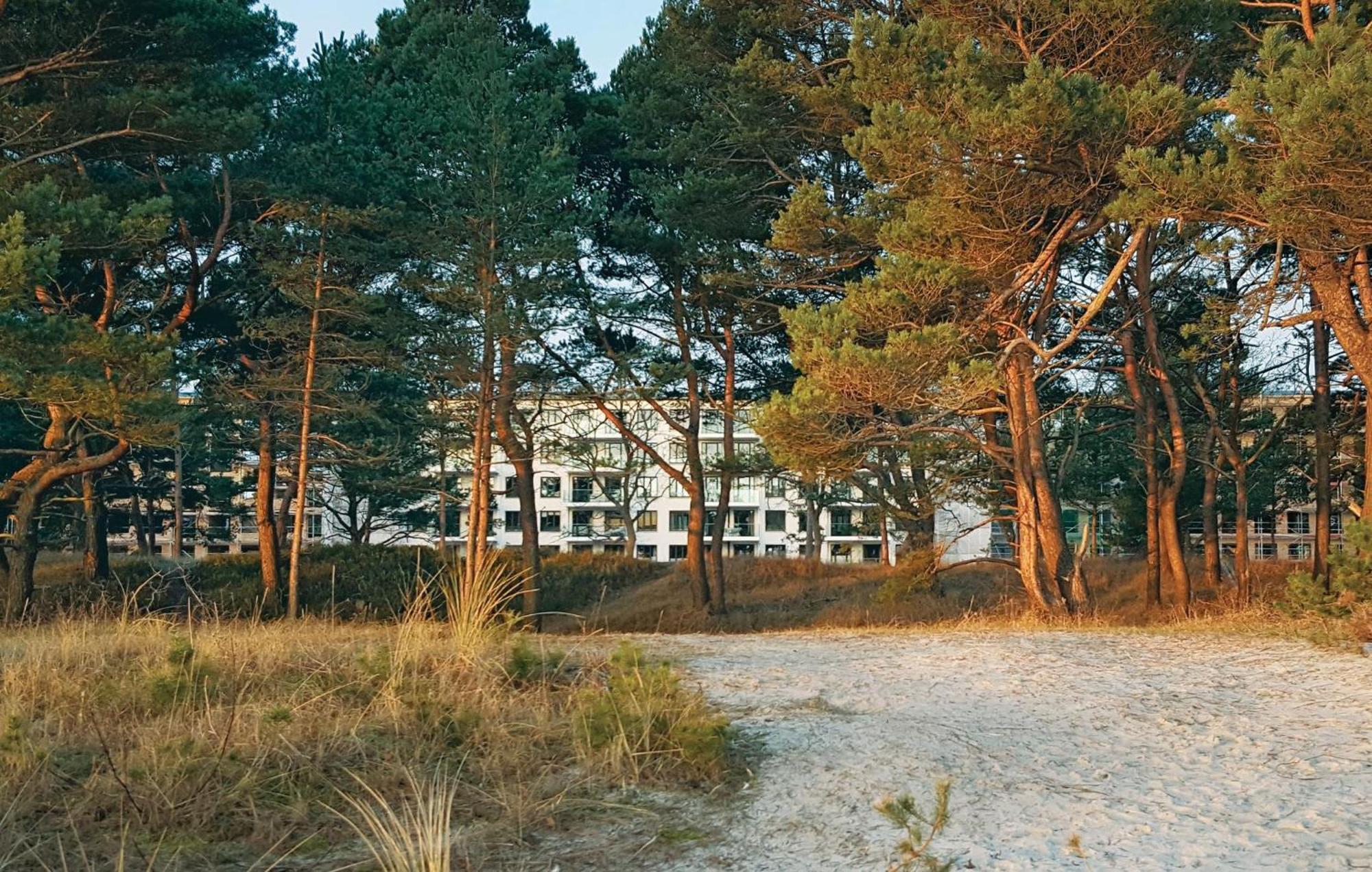 Prince Binz Exteriör bild